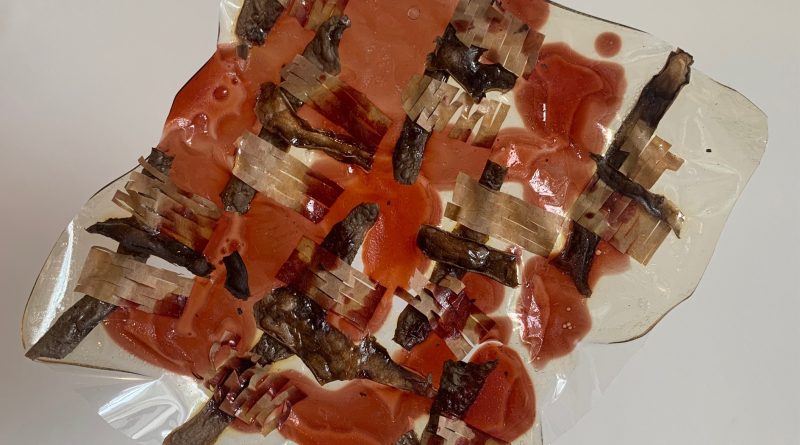 A square piece of material with red toned objects embedded geometrically in a transparent gel