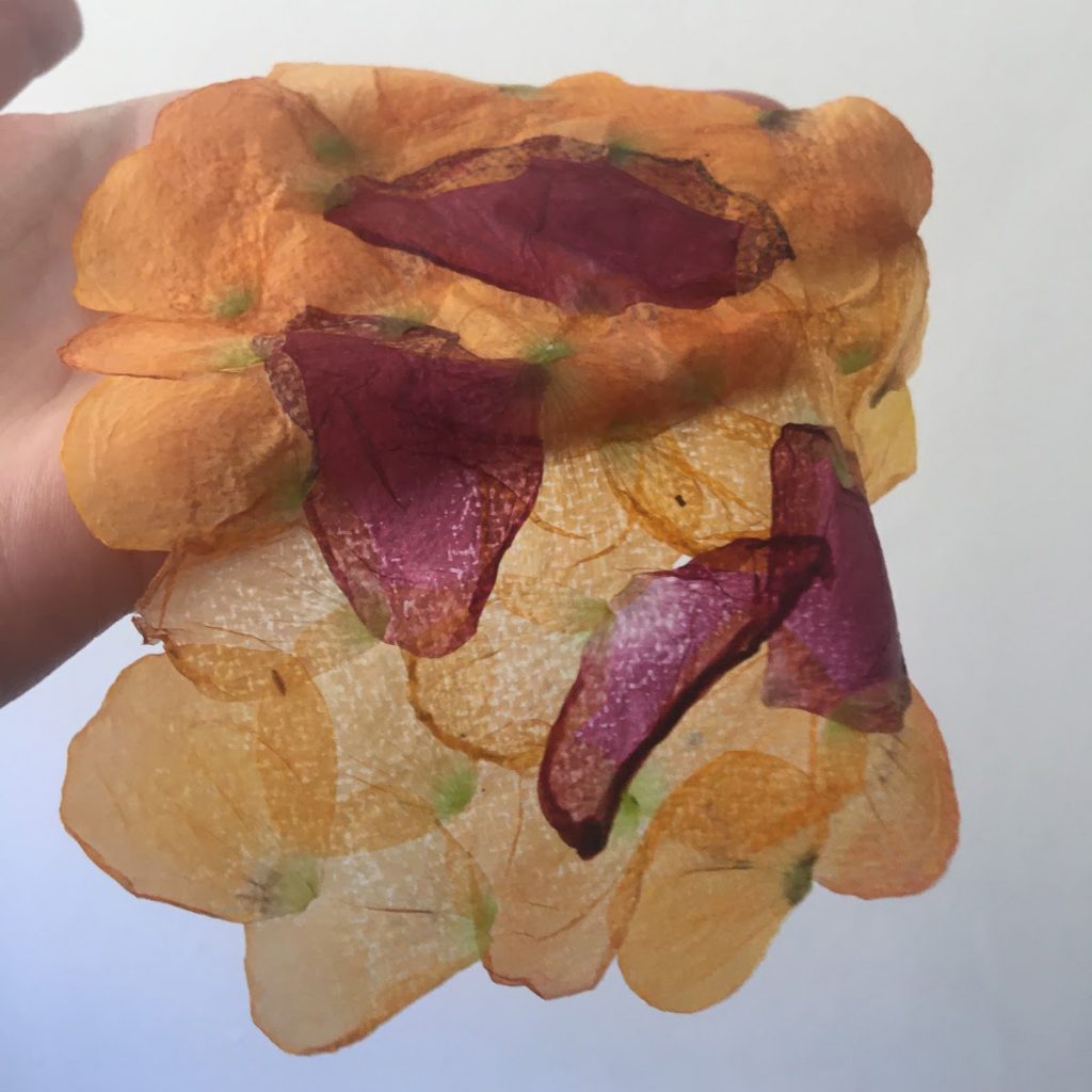 Semi-transparent material made of overlapping orange and dark red flower petals, draped over a hand